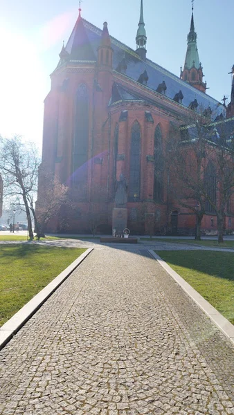 Katedra Świętych Apostołów Piotra i Pawła